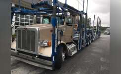 2016 PETERBILT 365 w/ Cottrell CX-11 Car Carrier in Duncan, SC