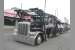2015 PETERBILT 389