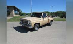 1977 CHEVROLET CHEYENNE 10 Pickup Truck in Reed City, MI